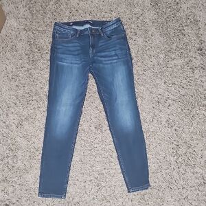 Vigoss Indigo Skinny Jeans